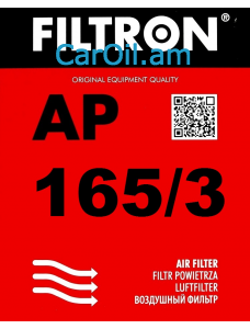 Filtron AP 165/3